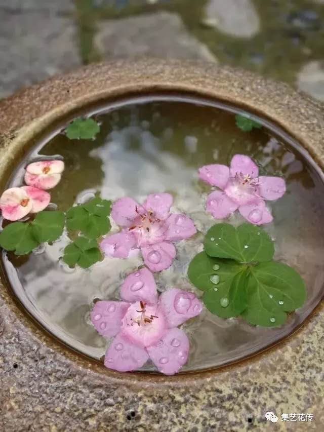 微信图片_20190522161548.jpg