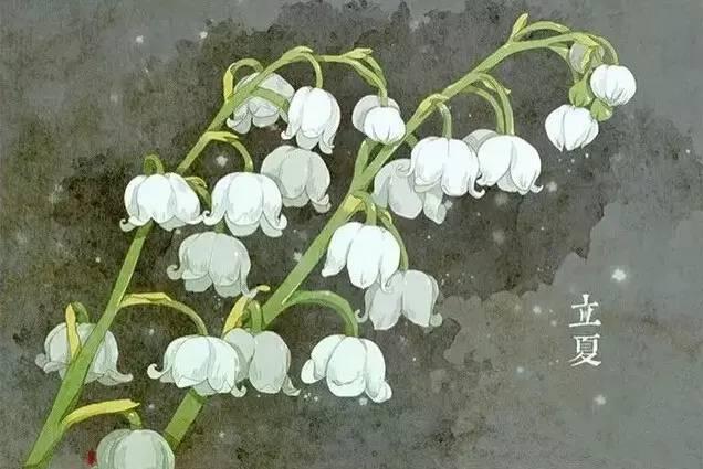 d345-fxipenp1019016.jpg