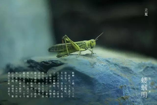 微信图片_20190507113246.jpg