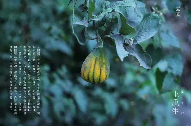 微信图片_20190507113333.jpg