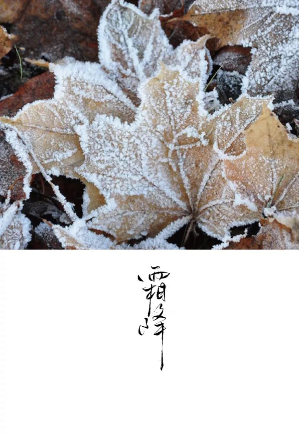 微信图片_20201019113447.jpg