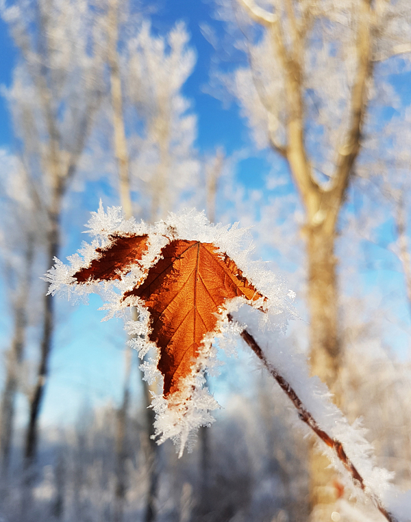 VCG41N1127322206.jpg