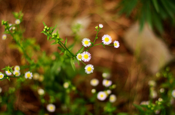 middle_20100628_3b53037d55eea261d3bblxLesBuXwINy.jpg