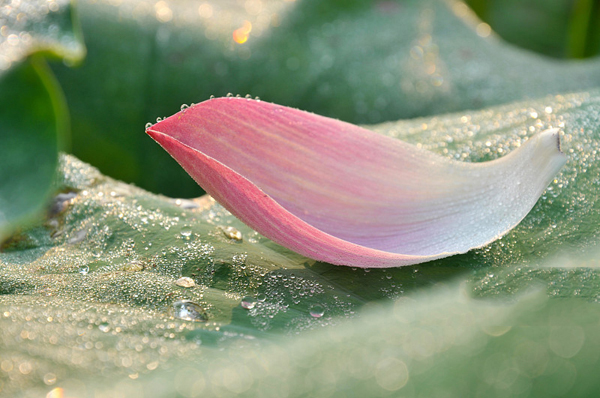 VCG41155146207.jpg