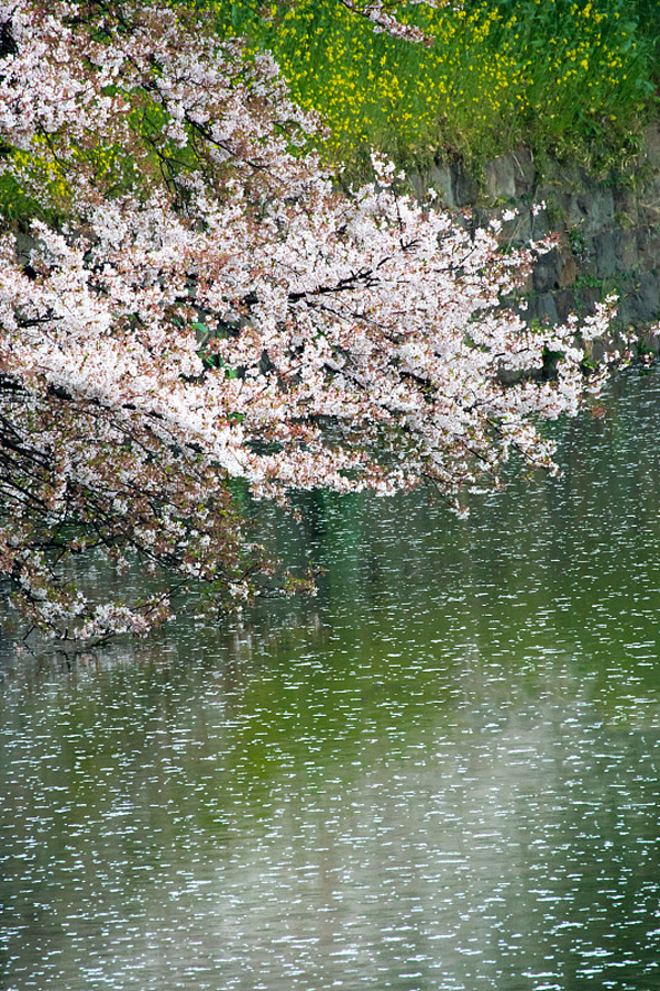 VCG41N1138496863.jpg