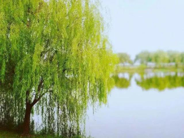 微信图片_20201229173956.jpg