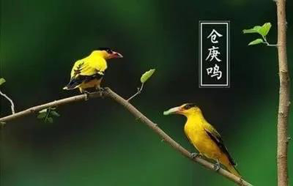 微信图片_20201026155851.jpg