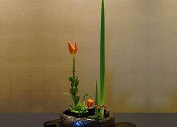 文人插花
