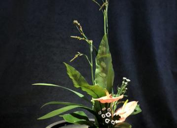花艺体验